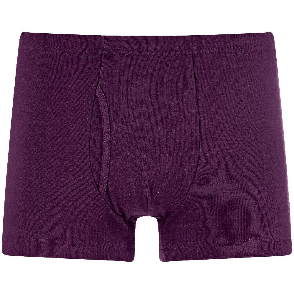 Jan Vanderstorm 5er Pack Retropants GARDAR bunt Jubiläumsangebot