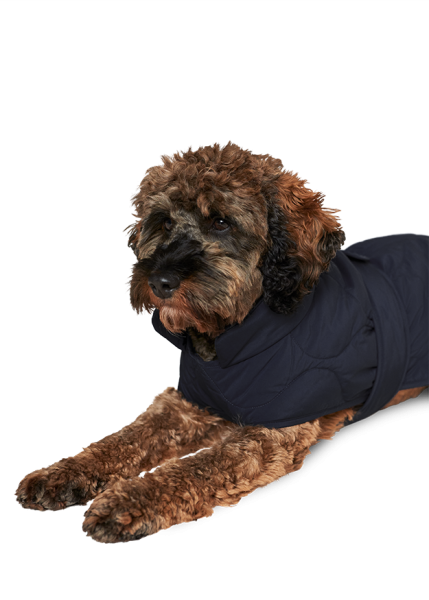 Riani HUNDEMANTEL Angebote