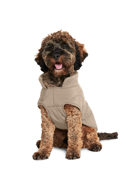 Riani HUNDEMANTEL im Angebot