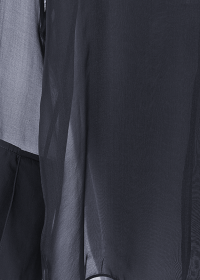 Riani TRANSPARENTE CHIFFONBLUSE Online Shopping