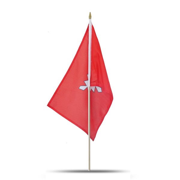 Sonia Originelli 10er Set Fahne Flagge Winkfahne "Kiel" Handfahne Jubiläumsangebot