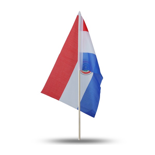 Sonia Originelli 10er Set Fahne Flagge Winkfahne "Paraguay" Handfahne EM WM Saisonale Angebote