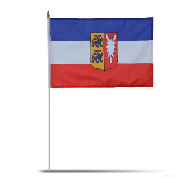 Sonia Originelli 10er Set Fahne Flagge Winkfahne "Schleswig-Holstein" Handfahne EM WM Speichern exportieren