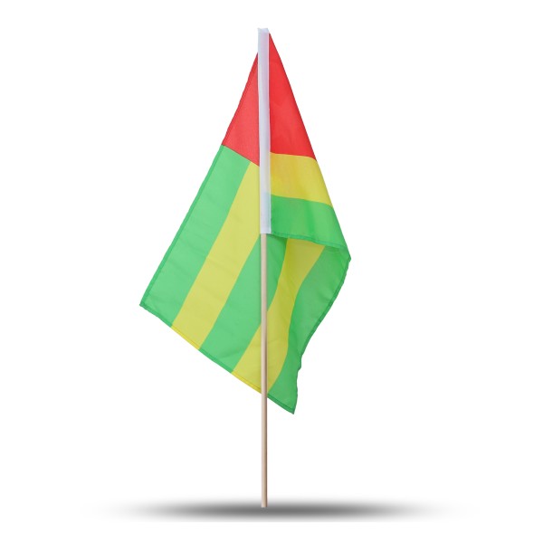Sonia Originelli 10er Set Fahne Flagge Winkfahne "Togo" Handfahne EM WM Verkauf