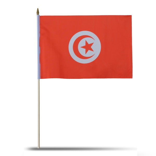 Sonia Originelli 10er Set Fahne Flagge Winkfahne "Tunesien" Tunisia Handfahne EM WM im Angebot